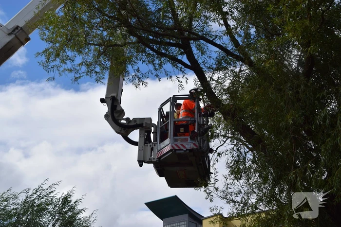 Brandweer verwijdert gevaarlijk hangende tak