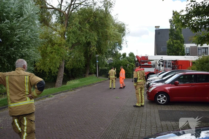 Brandweer verwijdert gevaarlijk hangende tak