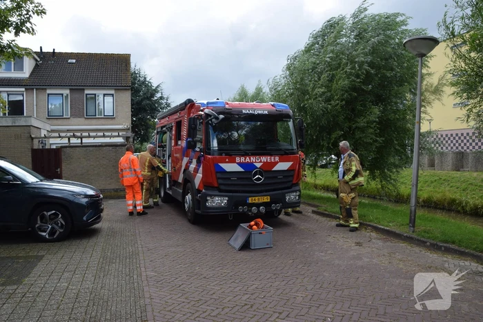 Brandweer verwijdert gevaarlijk hangende tak