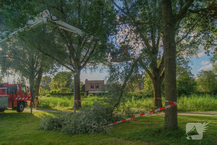 Brandweer verwijdert gevaarlijk hangende tak