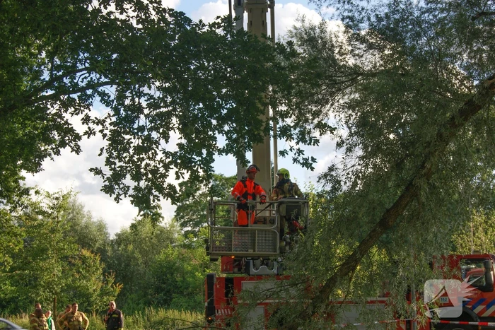 Brandweer verwijdert gevaarlijk hangende tak