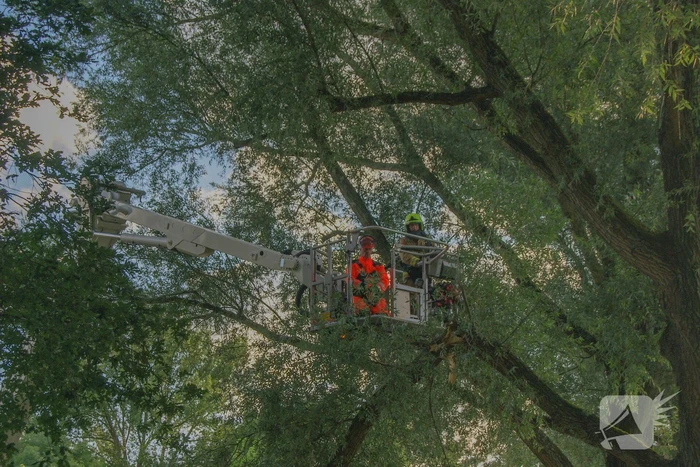 Brandweer verwijdert gevaarlijk hangende tak