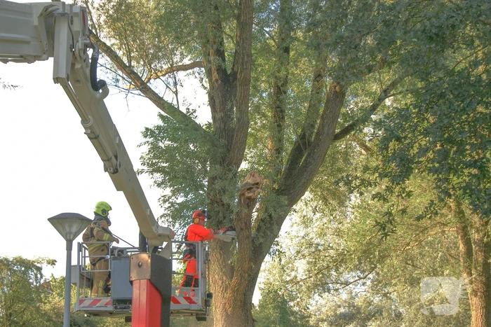 Brandweer verwijdert gevaarlijk hangende tak