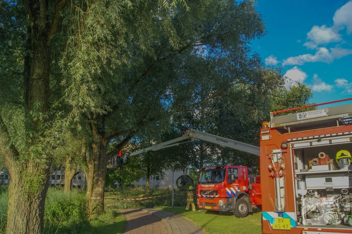 Brandweer verwijdert gevaarlijk hangende tak