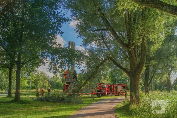 Brandweer verwijdert gevaarlijk hangende tak