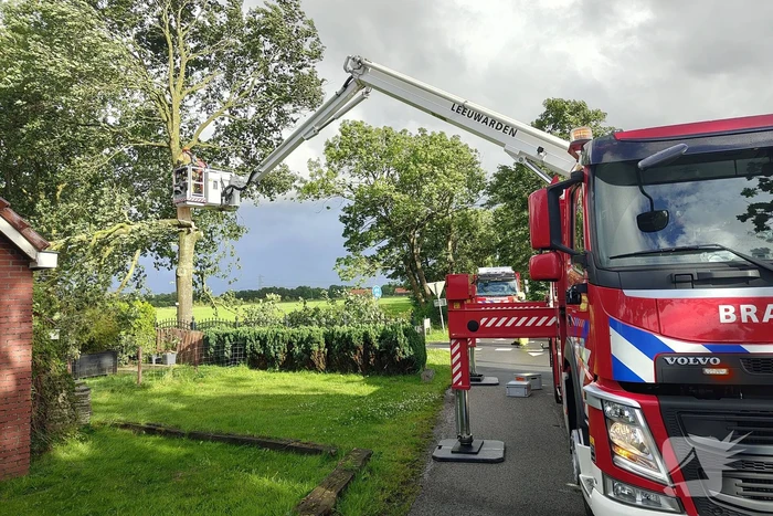 natuur zomerweg hurdegaryp