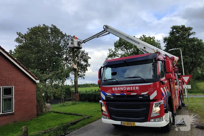 Brandweer verwijderd afgewaaide tak die op boerderij valt