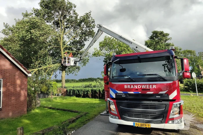 Brandweer verwijderd afgewaaide tak die op boerderij valt