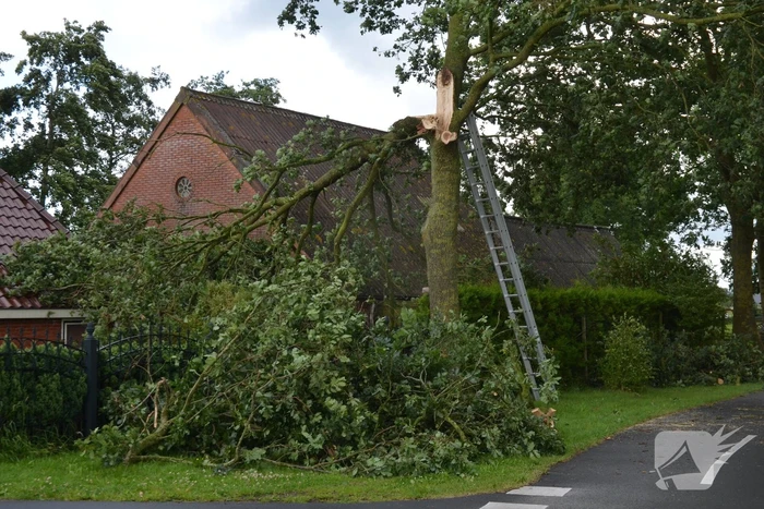 Brandweer verwijderd afgewaaide tak die op boerderij valt