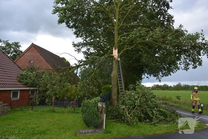 Brandweer verwijderd afgewaaide tak die op boerderij valt
