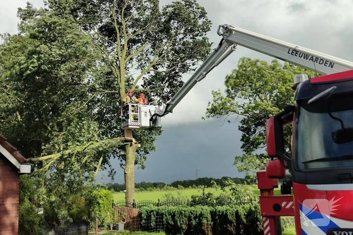 Brandweer verwijderd afgewaaide tak die op boerderij valt