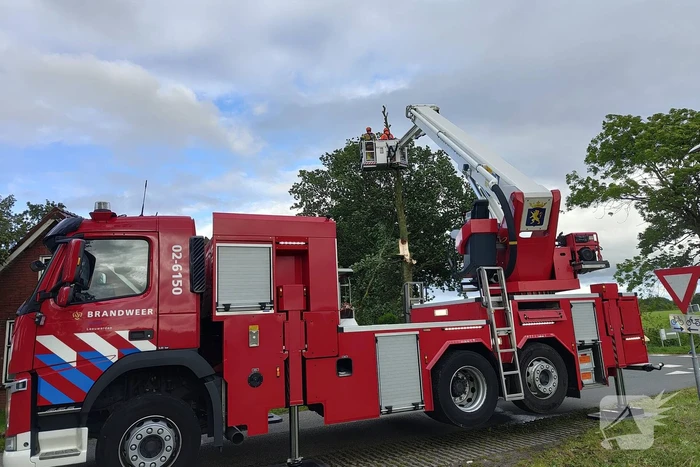 Brandweer verwijderd afgewaaide tak die op boerderij valt
