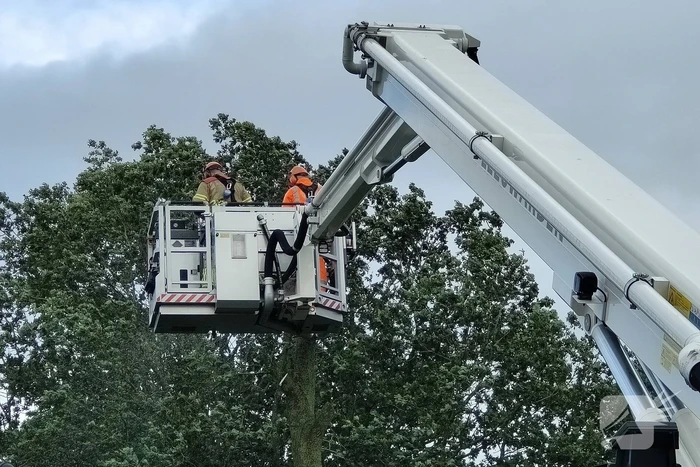 Brandweer verwijderd afgewaaide tak die op boerderij valt