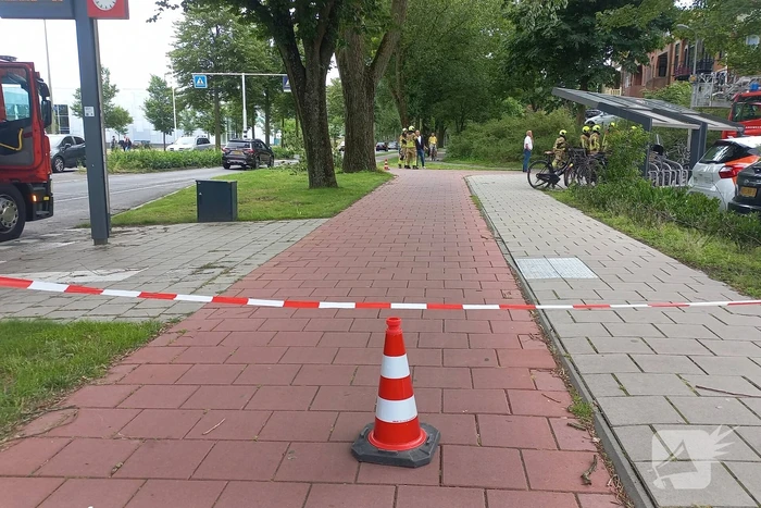 natuur duinoord katwijk