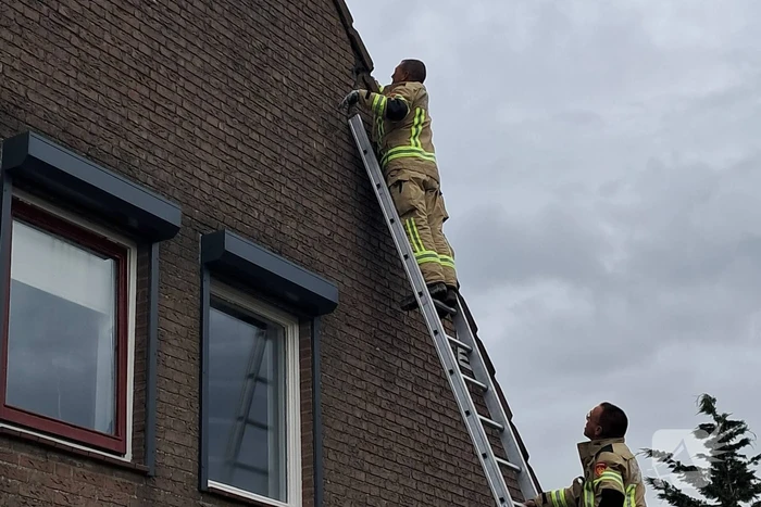 Brandweer helpt vastzittende zwaluw