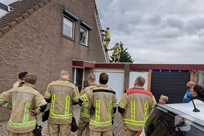 Brandweer helpt vastzittende zwaluw