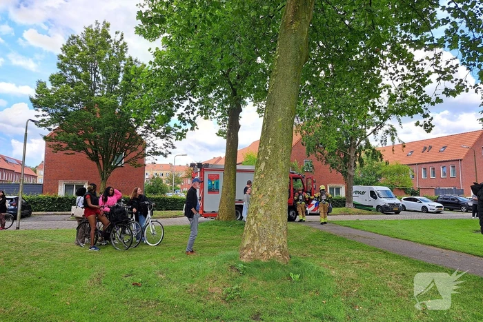 Pan rijst veroorzaakt brandweer inzet