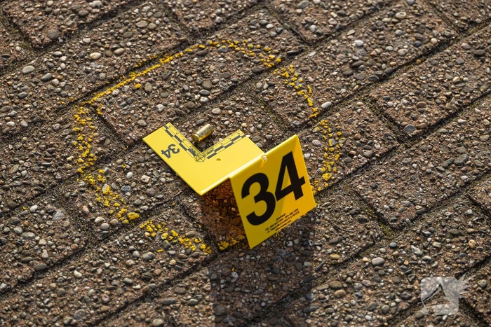 Politie lost waarschuwingsschoten na inbraak