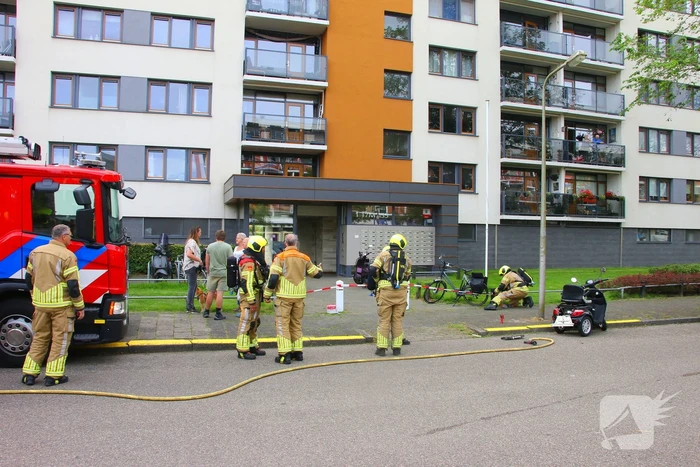 nieuws cleijn duinplein katwijk