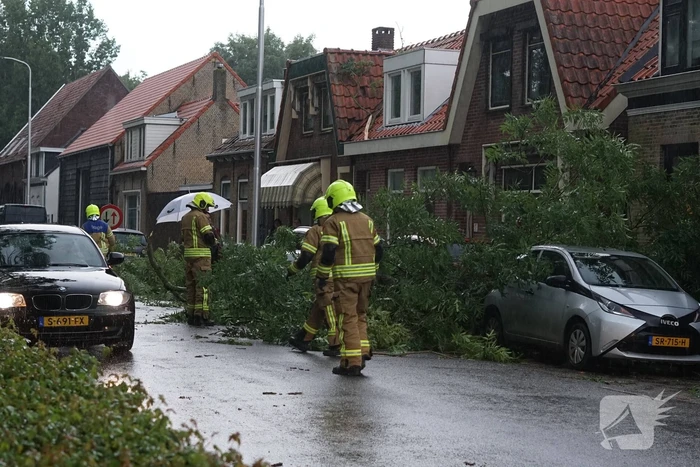 natuur oudelandsedijk sommelsdijk