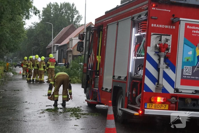 Meerdere takken blokkeren weg door harde wind