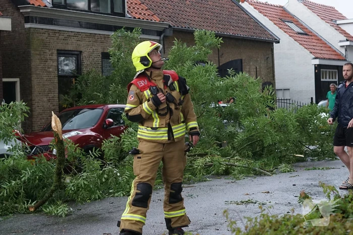 Meerdere takken blokkeren weg door harde wind