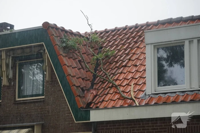 Meerdere takken blokkeren weg door harde wind