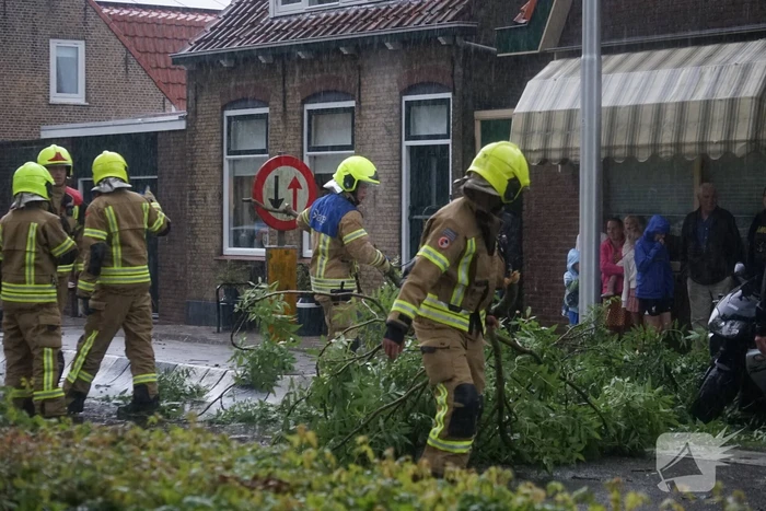 Meerdere takken blokkeren weg door harde wind