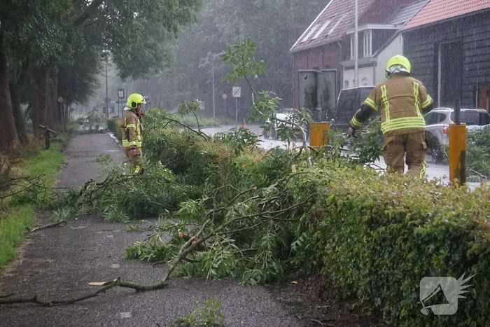 Meerdere takken blokkeren weg door harde wind