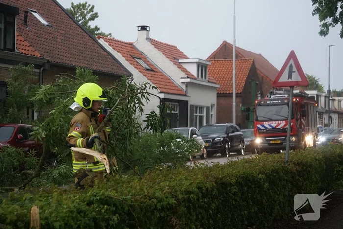 Meerdere takken blokkeren weg door harde wind