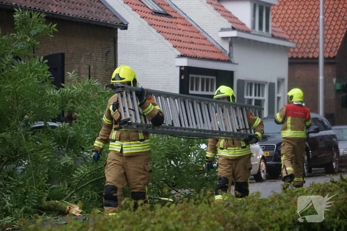 Meerdere takken blokkeren weg door harde wind