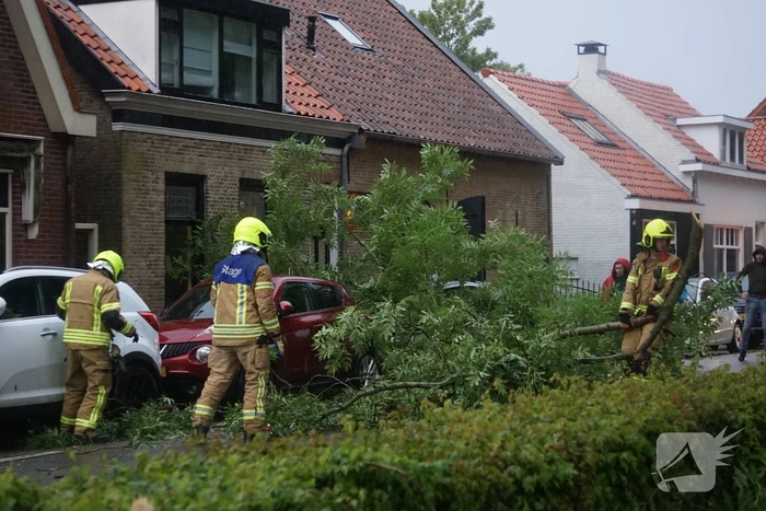 Meerdere takken blokkeren weg door harde wind