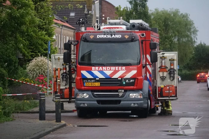 natuur margrietlaan dirksland