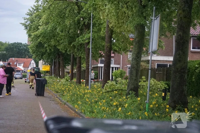 Takken waaien uit boom brandweer zet gebied af