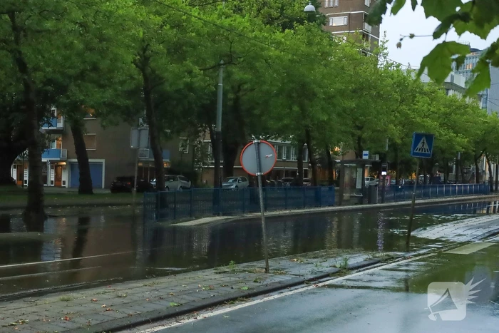 Storm zorgt voor overlast