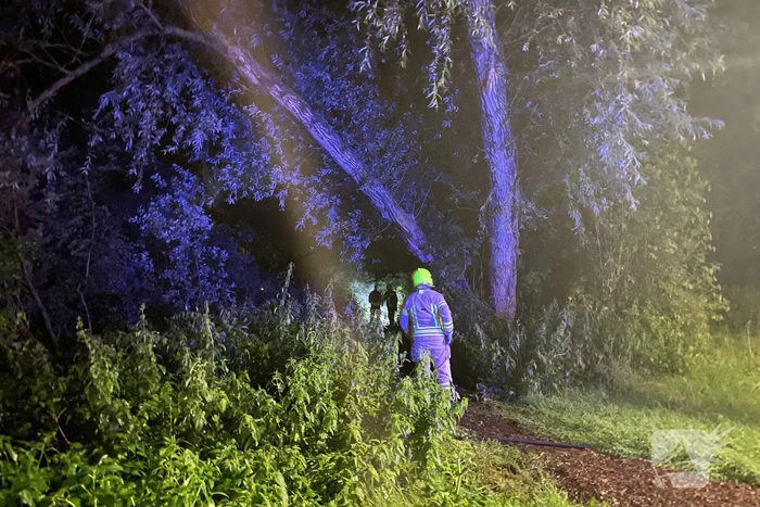 Kleine brand in bos snel geblust