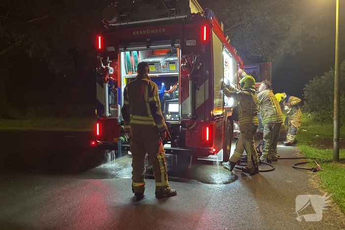 Kleine brand in bos snel geblust