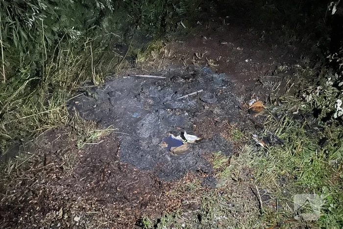 Kleine brand in bos snel geblust