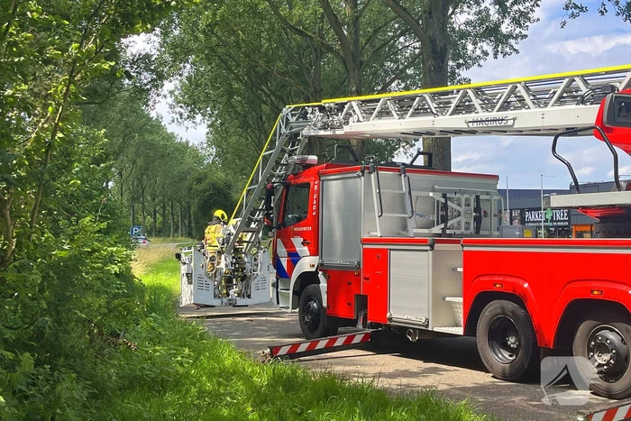 Brandweer verwijdert gevaarlijk hangende tak