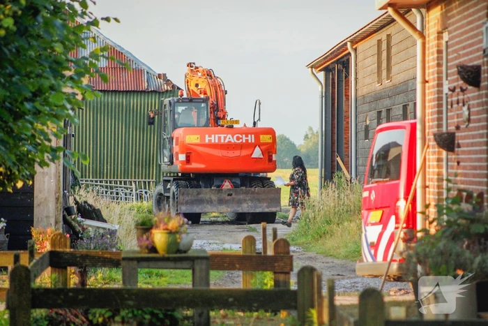 Brandweer is uren bezig met bevrijden koeien uit gierkelder