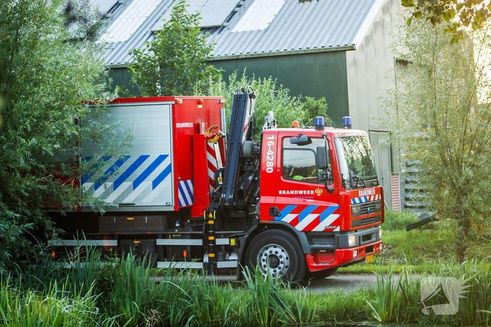 Brandweer is uren bezig met bevrijden koeien uit gierkelder