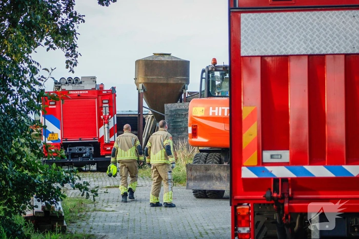 Brandweer is uren bezig met bevrijden koeien uit gierkelder