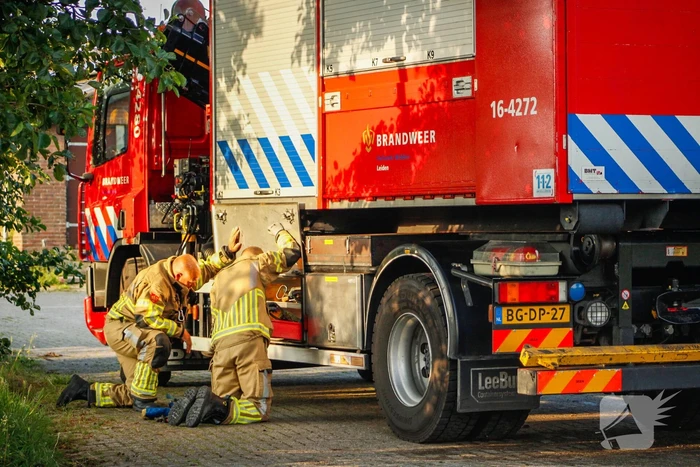 Brandweer is uren bezig met bevrijden koeien uit gierkelder
