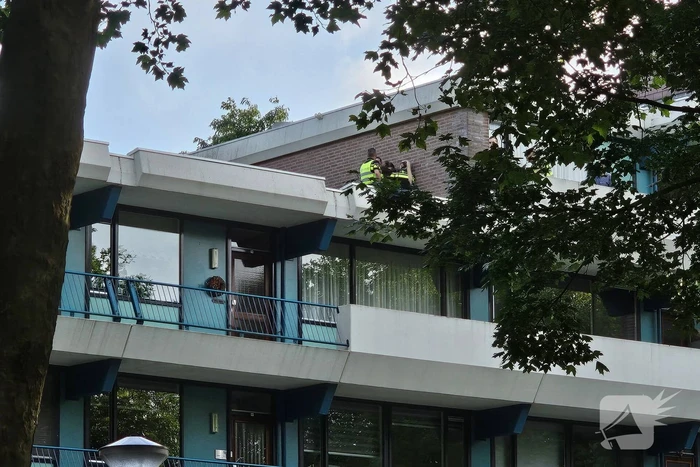 nieuws hofbeeklaan ede