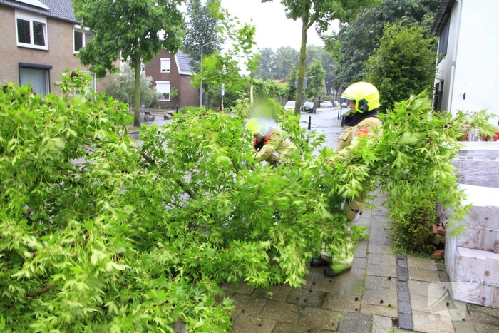 Grote tak valt bijna op voetgangers