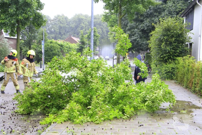 Grote tak valt bijna op voetgangers