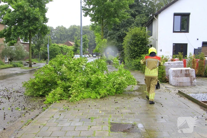 Grote tak valt bijna op voetgangers