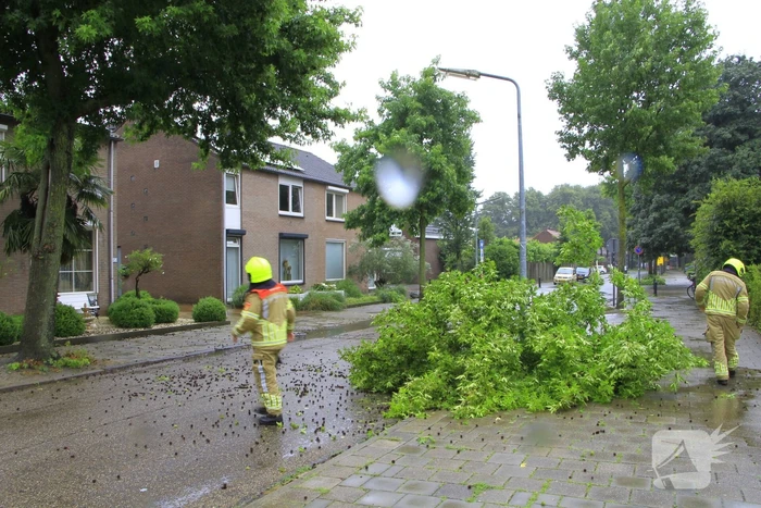 Grote tak valt bijna op voetgangers