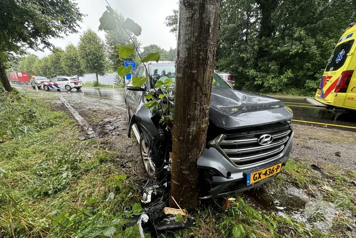 Automobilist eindigt tegen boom