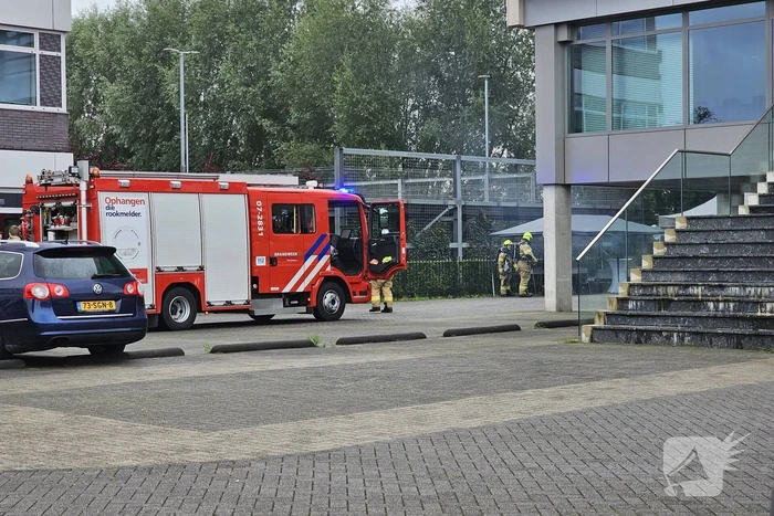 Bedrijfs barbecue loopt uit de hand